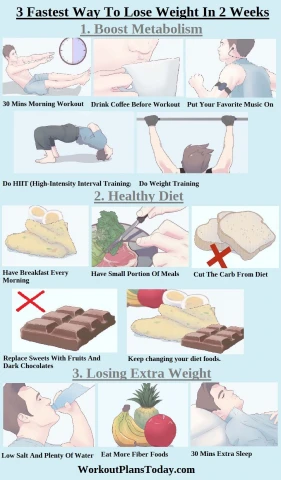 diet to lose weight quick